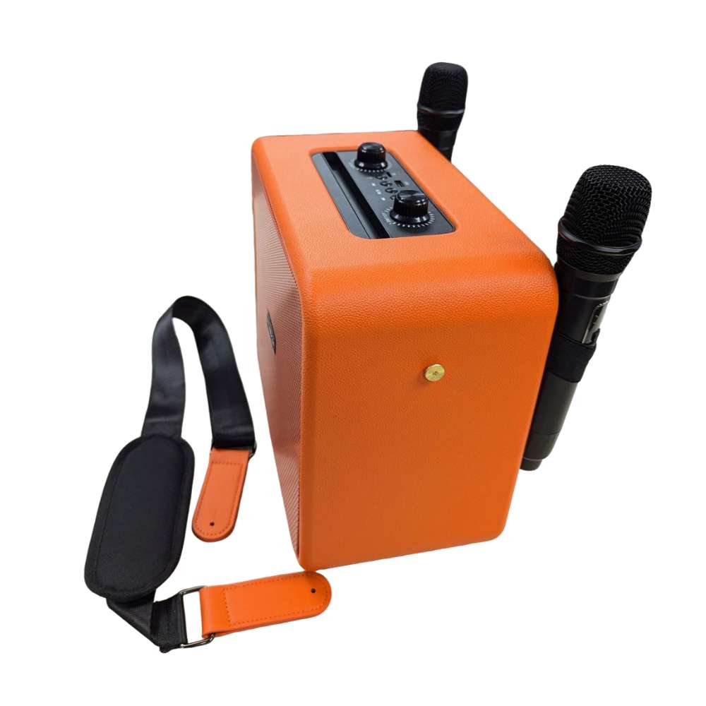 Bocina Karaoke Bluetooth FM dual micrófonos RGB Moreka A17