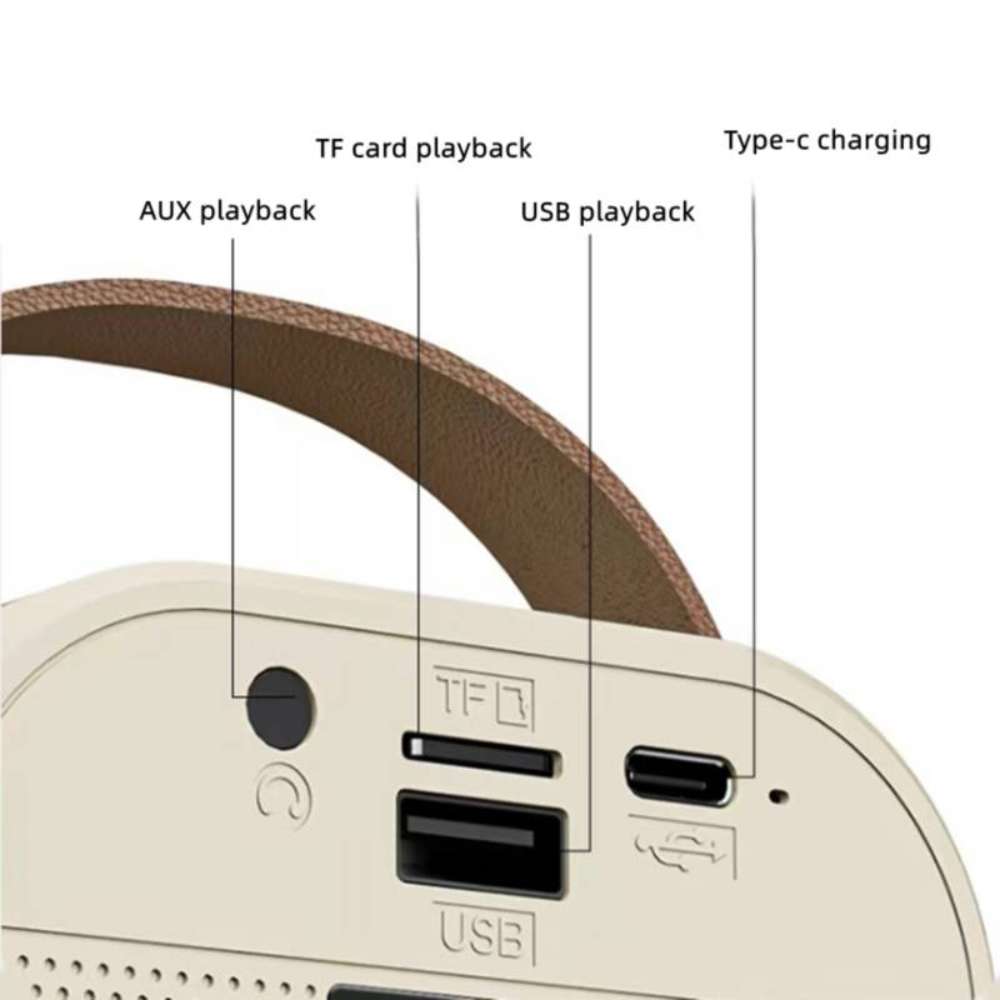 Bocina Karaoke Bluetooth FM dual microfonos portatil WL-395