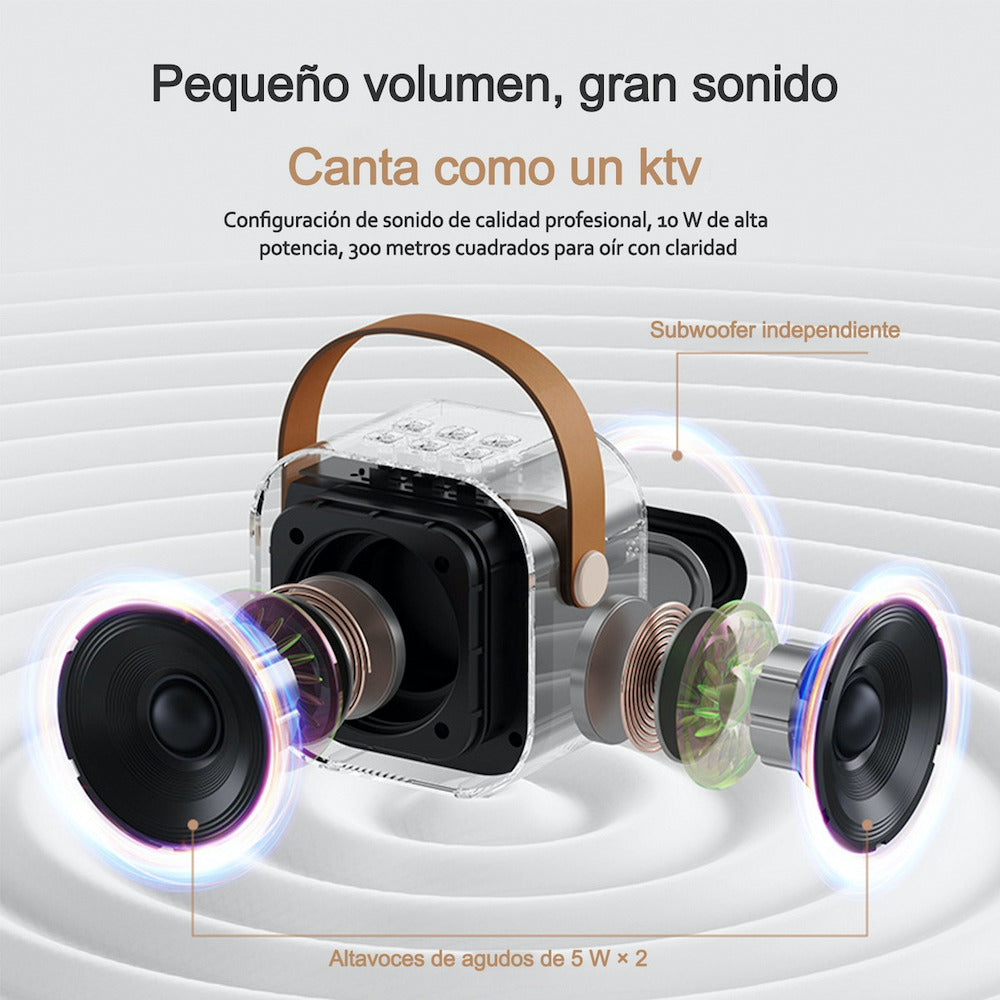 Bocina Karaoke Bluetooth FM dual microfonos portatil WL-395